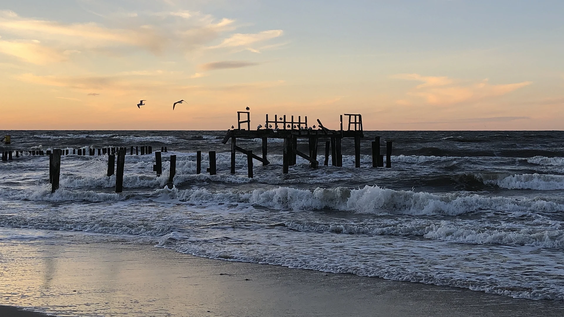 The beach of Mielno. Seagulls rise from an old wooden bridge that juts out into the sea. Evening sky.